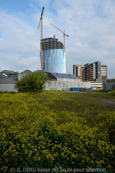 Liège, immeuble Paradis2